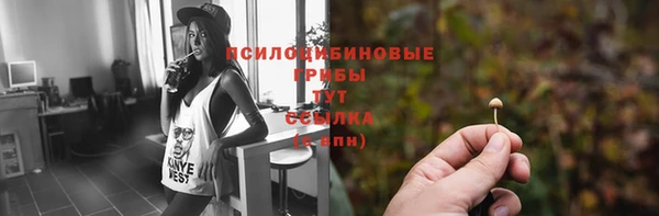 прущий лед Беломорск