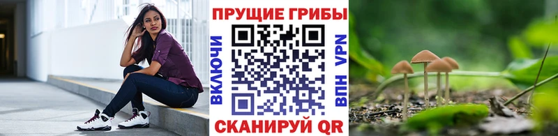 Галлюциногенные грибы мухоморы  Светлогорск 